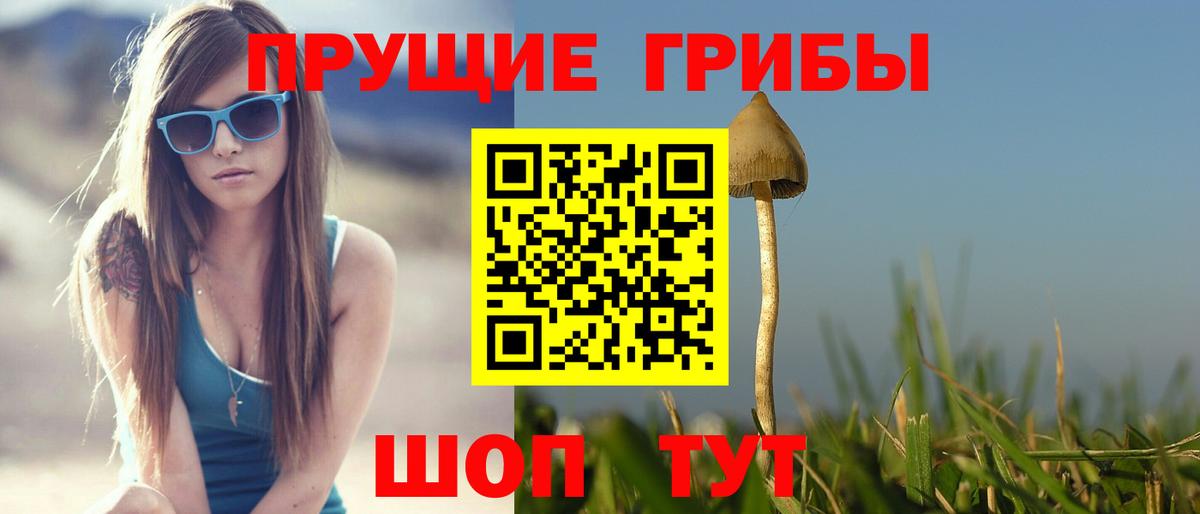 Псилоцибиновые грибы мухоморы  купить   Вход с VPN  Нововоронеж  Псилоцибиновые грибы мухоморы 
